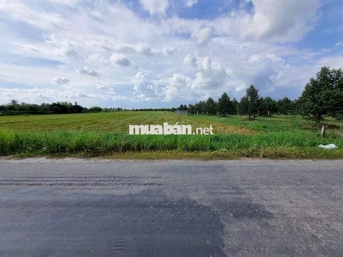 3600m2 đường nhựa. Ngay khu đô thị KCN Phước Đông. 2,6 tỷ