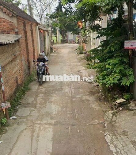 Cơ Hội Đầu Tư Sinh Lời Cao! Bán Lô Đất Vàng Tại Quang Minh - Mê Linh,