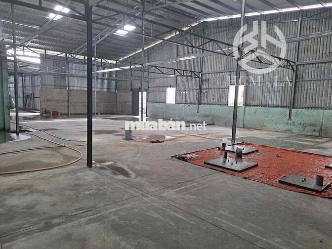 Cho Thuê Kho Xưởng 1200m (dag cải tạo mới, bỏ cột)