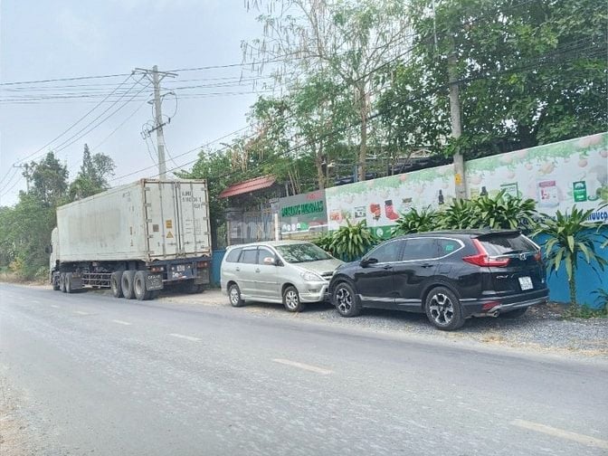Công nhân chế biến nông sản đông lạnh