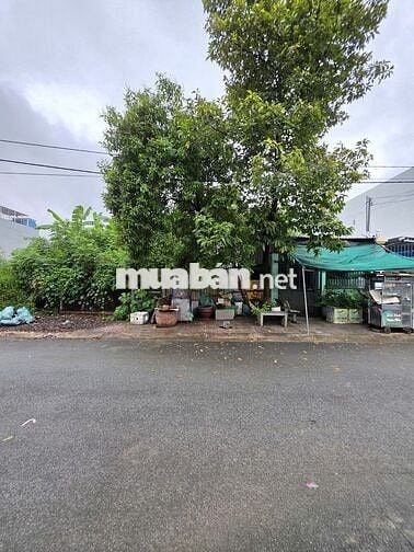 Bán đất gần đường Phạm Văn Diêu 300m, p.Tân Hạnh, Tp.Biên Hòa