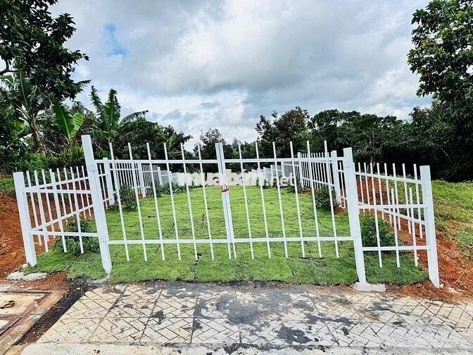 ☁️ ĐẤT Ở NGHỈ DƯỠNG – VIEW MÂY CỰC ĐẸP TẠI LỘC ĐỨC
