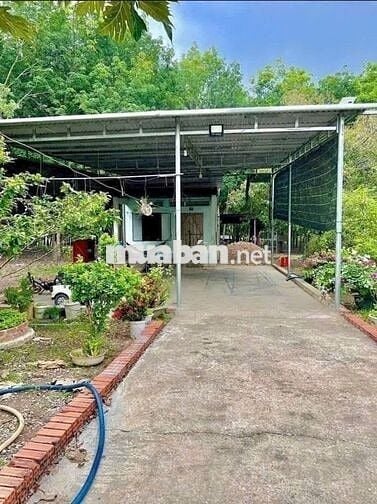 Đất thành phố 290tr bao sổ (541m2) có sẵn 100m2 thổ cư