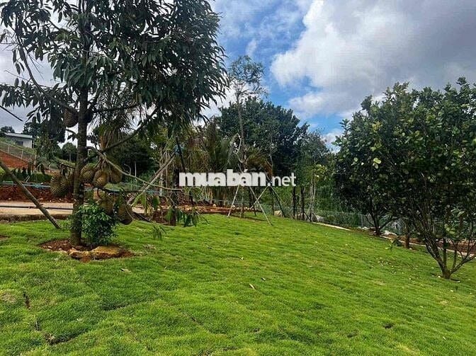 🏡 SỞ HỮU NGAY LÔ ĐẤT NGHỈ DƯỠNG – PHÁP LÝ RÕ RÀNG🤩