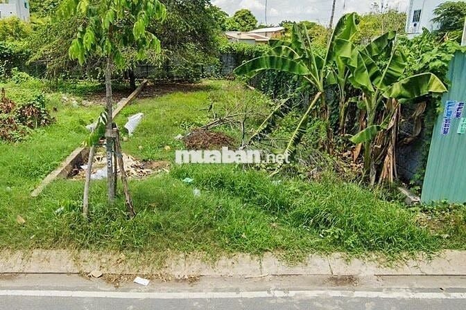 BÁN NHANH LÔ ĐẤT 150M2, PHƯỚC HIỆP, CỦ CHI, 700TR