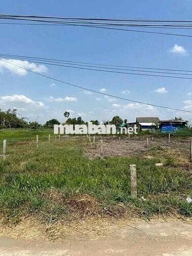 395tr sổ hồng riêng , xã đức tân - tân trụ - long an , dt :145mv thổ