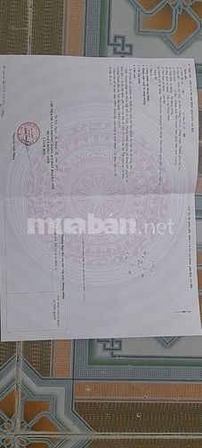 Cần bán đất Mĩ Nội. Đông Anh. Sát Vinhomes Bắc Hồng