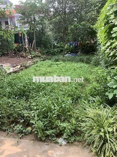 cần bán đất tại Quang trung, yên nghĩa, Hà Đông