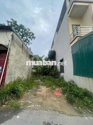 Bán Đất Phú Thượng Tây Hồ Cạnh Ciputra. Ô Tô KD 128m2 MT 6m. Giá 20tỷ