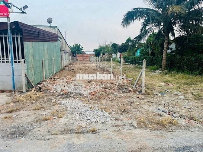 Ngộp Nặng! Đất 256m² Đường Bùi Thị Diệt, Phạm Văn Cội – Giá 650 Triệu
