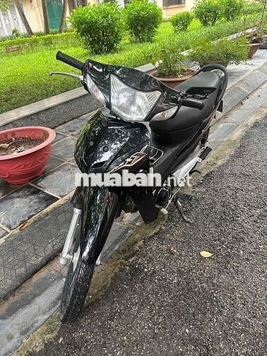bán xe zin cho học sinh