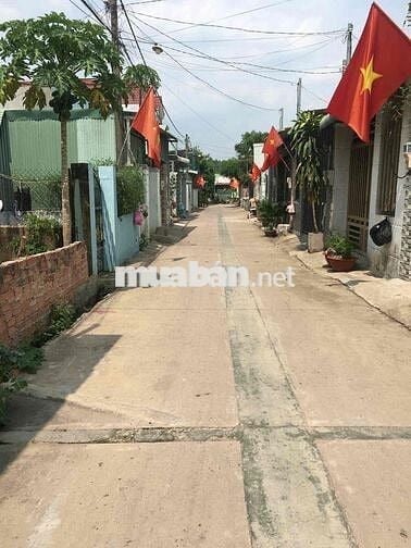 Đất biên nhận đo bao năm 2007 ra sổ được