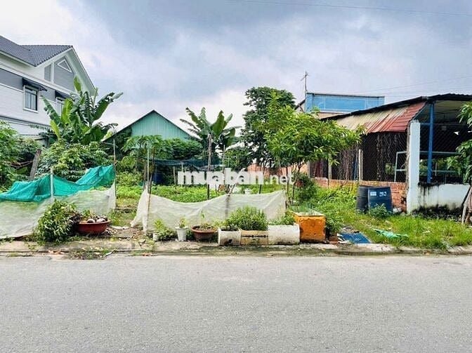 Đất KDC Biconsi, phường Tân Bình, Tp Dĩ An