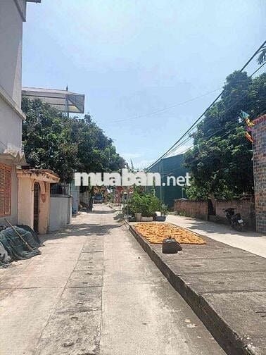 Chính chủ bán đất trung tâm Phụng Châu – ô tô tránh nhau – gần UB, trạ