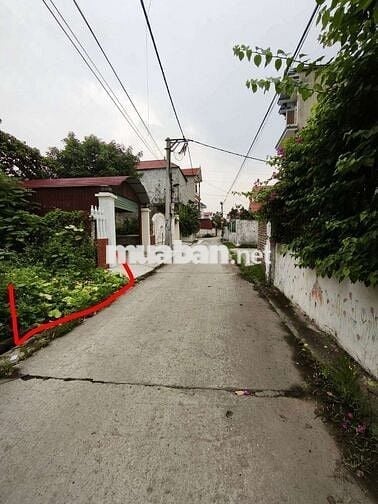 Bán 90m2 đất gần sân bay gia bình bắc ninh, ngõ ô tô thông ,giá đầu tư