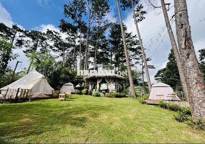 Không tiện quản lý bán lỗ 1200m2 view săn mây tặng căn nhà vườn Đà Lạt