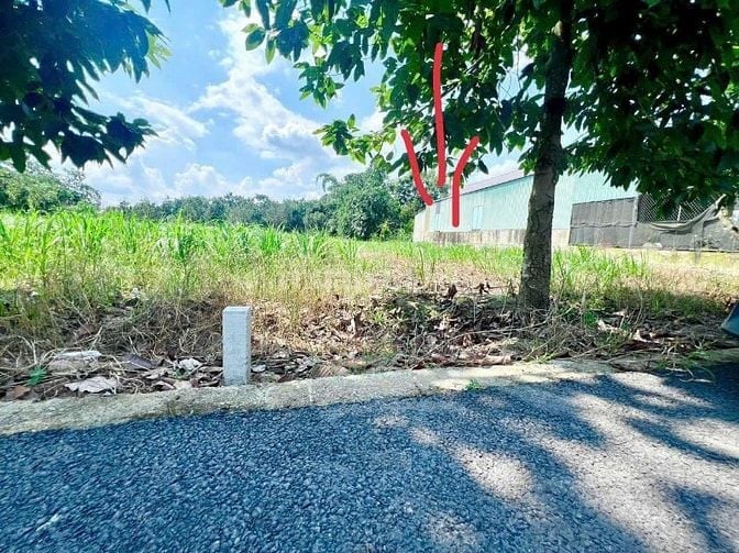 Bán đất mặt tiền đường nhựa,đối diện nhà văn hoá khu thể dục thể thao 