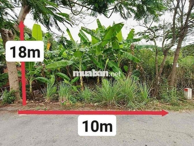 Cần Bán Gấp Lô Đất 10x18m, Ngay Giáp Ranh Long An – Giá Tốt