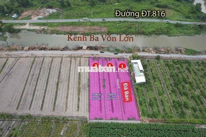 Hàng Vip F0 - Đất Vườn MT 816 View Kênh