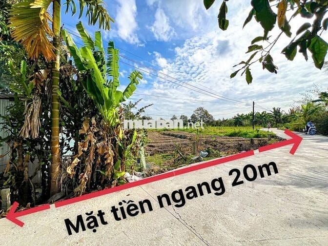 Nền Nghĩ Dưỡng Cách Quốc Lộ 61C 2km - X.Nhơn Nghĩa, TPCT
