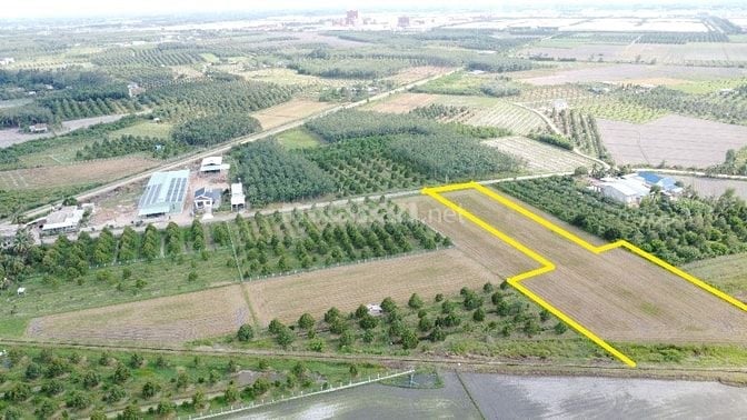 3600m2 đường nhựa. Ngay khu đô thị KCN Phước Đông. 2,6 tỷ 