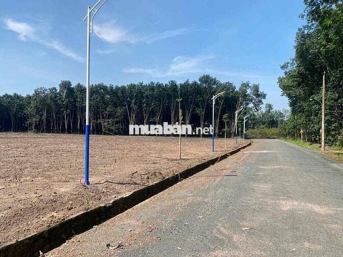 250m2 mặt tiền đường nhựa TDC Nha Bích sổ sẵn, công chứng ngay