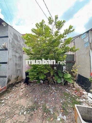 bán thửa đất đường số 5 bình hưng hoà bình tân