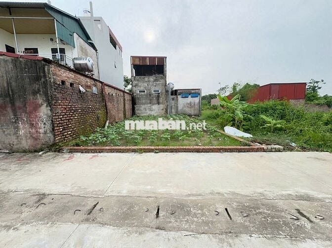 Bán đất đẹp thôn Ấp Tre, (Tổ 9) – xã Quang Minh, TP Hà Nội. Gần KCN,