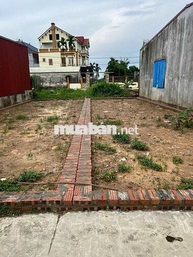 Cần Bán 58m thôn Ấp Tre, Tổ 10 Quang Minh, Mê Linh, HN. Đường thông,