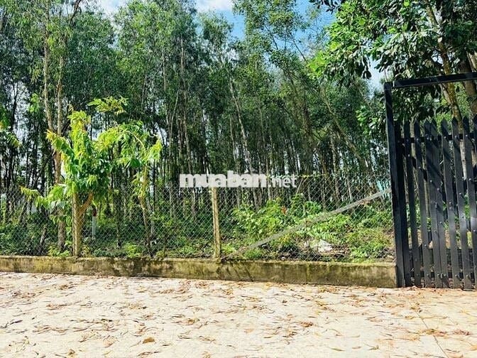 ĐỊNH CƯ NC NGOÀI, chủ gửi lô đất 790m2 Phước Thạnh, Củ Chi. 750 TRIỆU