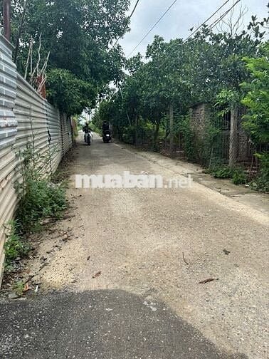 BÁN GẤP 67M2 ĐẤT BÌA LÀNG THÔN XUÂN TRẠCH, ĐÔNG ANH - SÁT VIN CỔ LOA.