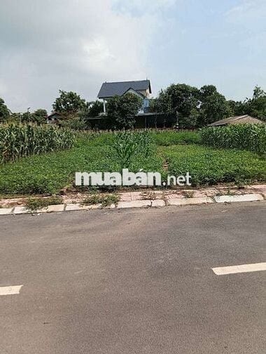 Bán Đất - Thái Lai(Minh Trí - Sóc Sơn) - 110M2 Full Thổ Cư - 2,7 Tỷ