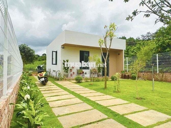 Chuyển nơi ở, bán lỗ lại lô đất 319m2 giá 699tr tặng nhà hiện đại