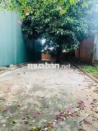 Căn Nhà Thuê Sát vành đai 10/3 Phạm Ngũ Lão
