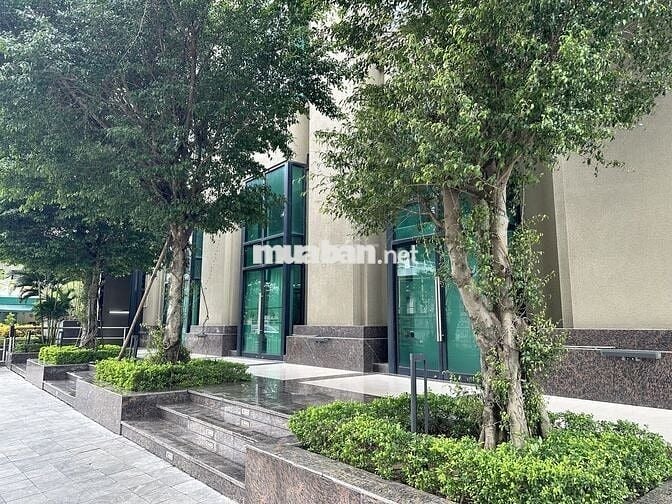 Mặt bằng kinh doanh tầng 1 240m2 phố Tố Hữu, phường Nam Từ Liêm