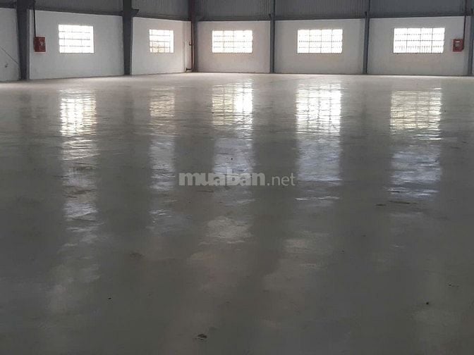 Cho thuê kho xưởng , DT: 1.680m² , Phước Lý, Cần Giuộc giáp Bình Chánh