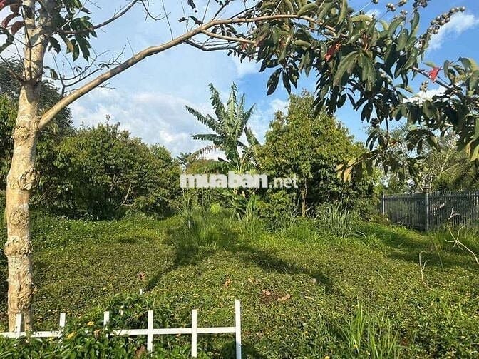 Kẹt tiền trả lãi chủ bán lô đất 2500m2 giá chỉ 550 triệu tại Tân Lạc