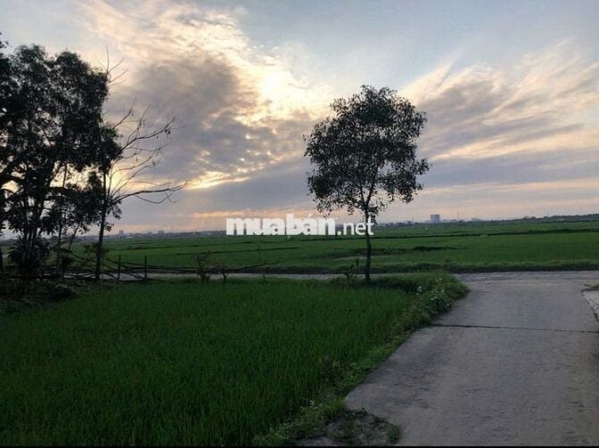 CHÍNH CHỦ CẦN BÁN ĐẤT Ở ĐÔ THỊ