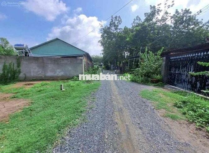 Hàng ngộp 11m x 48m thổ 196m2 đường thông 6m SHR 890tr nhà dân đông đú