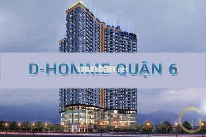 🔥 CHO THUÊ CĂN HỘ CAO CẤP D-HOMME QUẬN 6 🔥