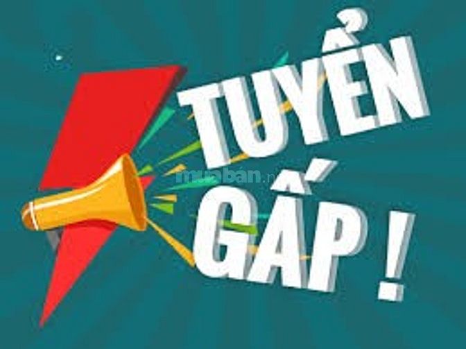 Cần gấp 3 nam/nữ đóng gói , phụ kho tại kho cửa hàng