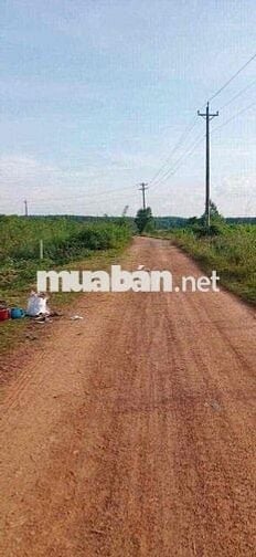 Cần bán gấp lô đất đường rộng tại xuân thành xuân lộc đồng nai