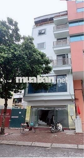 Cho thuê nhà mặt phố Quan Hoa - Dt 80m2 x 6 tầng có Thang Máy