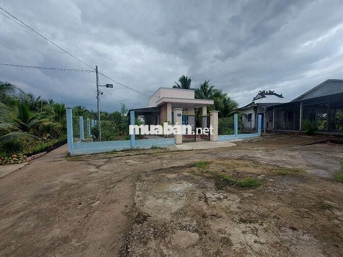 500m2 đất cách kcn Giao Long 2km, sẵn nhà, đường xe hơi