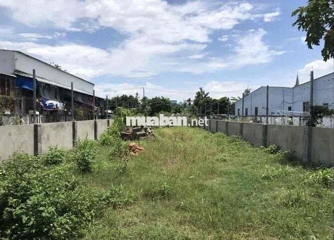 BÁN GẤP ĐẤT THỔ CƯ GIÁ RẺ ĐÃ RÀO LẠI