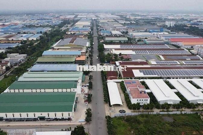 CHÍNH CHỦ NGỘP BANK BÁN GẤP 1250m2 150 thổ cư, ngay KCN AN BÌNH