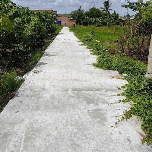 dt :135mv , giá:379tr ,sổ hồng riêng,quê mỹ thạnh - tân trụ - long an