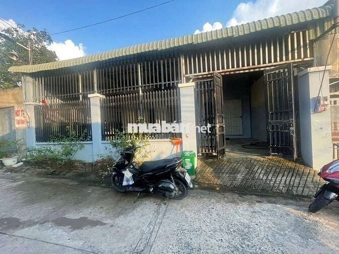 ✅NGAY SAU CHỢ ĐẦU MỐI NGANG 10m ĐƯỜNG AP BAC LAN HÓC MÔN DT 166m2 SHR✅