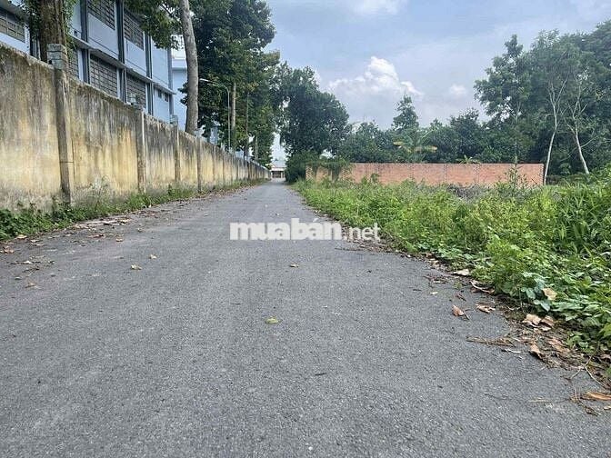 3500m2 đất cạnh trường DH507, ngân hàng thanh lý giá 690tr