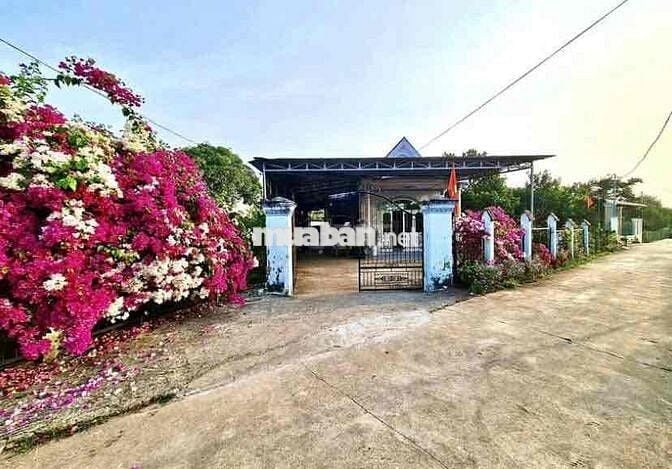 KẸT TIỀN BÁN LÔ ĐẤT GẦN CHỢ CHƠN THÀNH